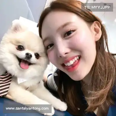 甄辰玮